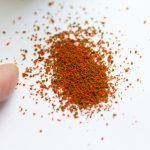 大きさ　テトラ　プランクトン